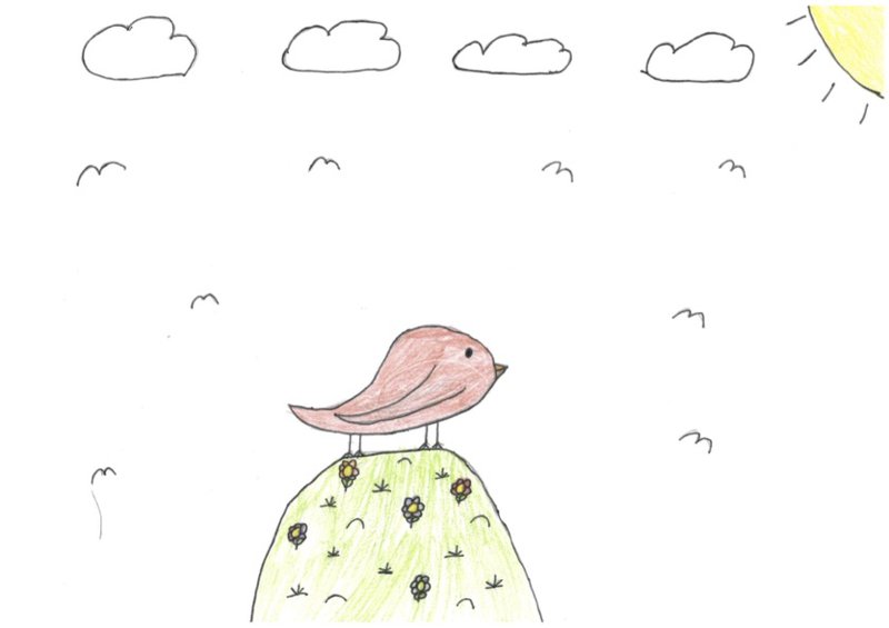 Sofi, 5. bekk - Fuglar